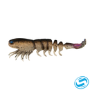 Z-Man Loose Body Prawn StarZ