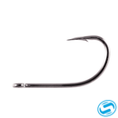 Owner Aki Hook