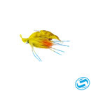 Buggs Fishing Lures 2nd Generation Hot Head Buggs