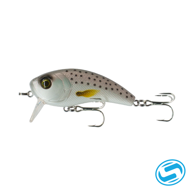 6th Sense Movement SW Wake Series