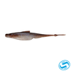 6th Sense Flush Soft Jerkbait