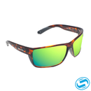 Bajio Bales Beach Reader Sunglasses