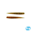Bass Assassin Saltwater Lures LIT'L P&V SW
