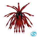 6th Sense Abstract Creature Bait