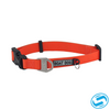 Boat Dog Waterproof Dog Collar