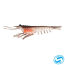 Nomad Design Live Ops Switcher Shrimp