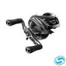 Daiwa Steez SV TWG 24' Casting Reel