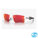 Oakley Flak 2.0 XL Sunglasses