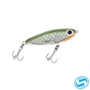 Paul Brown's Soft Dine