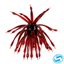 6th Sense Abstract Creature Bait