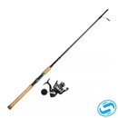 Star Stellar Lite Penn Pursuit IV Combo