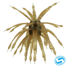 6th Sense Abstract Creature Bait