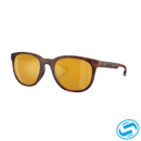 Native Targhee Sunglasses