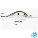 Rapala DT (Dives-To) Series