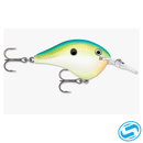 Rapala DT (Dives-To) Series
