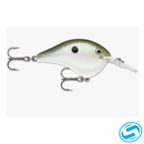 Rapala DT (Dives-To) Series
