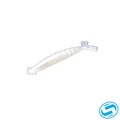 Thumper Shrimp