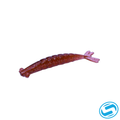 Thumper Shrimp