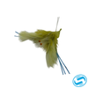 Buggs Fishing Lures Permital Bugg