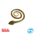 D.OA. C.A.L. Sna-Koil