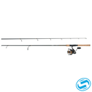 Daiwa BG System Combo