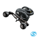 Daiwa Lexa-WN Casting Reel