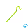 Zoom U-Tale Worm