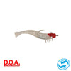 D.O.A. Shrimp